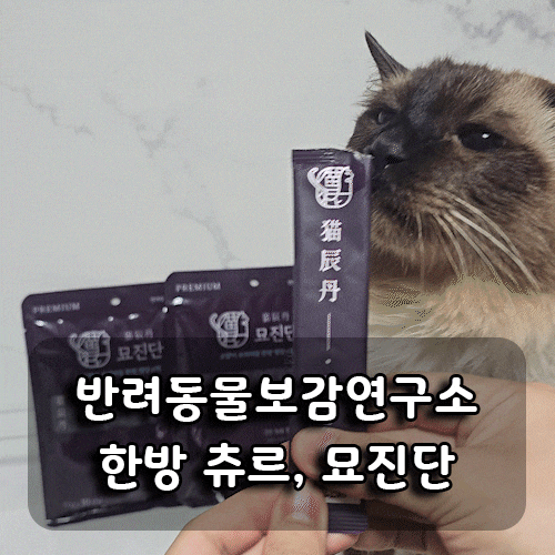  [반려동물보감연구소] 기호성 좋은 묘진단 한방스틱 후기