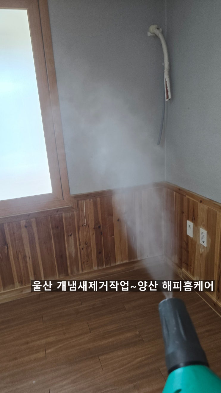 울산,김해,양산,부산 개냄새제거청소,이사집개냄새제거,벽지 나무몰딩속까지 스며든 동물냄새제거~양산해피홈케어
