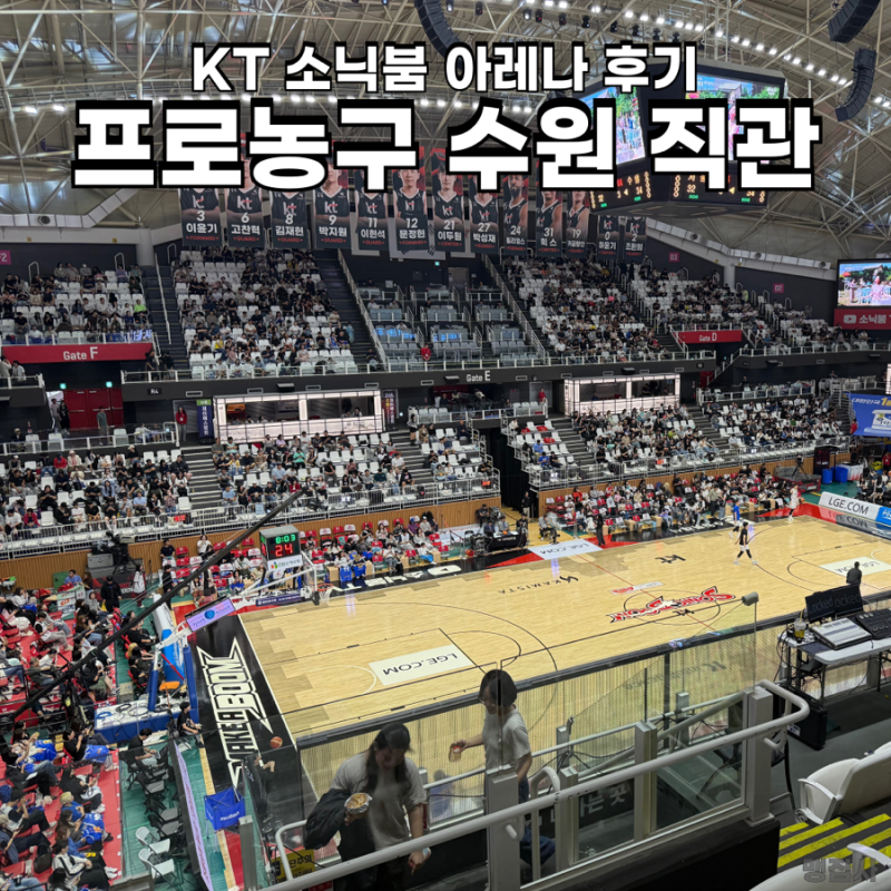 프로농구 KT 소닉붐 수원 3층 직관 후기 주차장 꿀팁