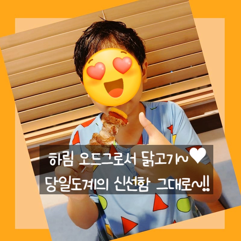 하림 오드그로서 당일도계 신선한 닭고기 시식후기?!