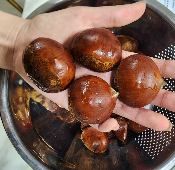  가을 제철 간식 공주마을 햇밤 특대 찌는법, 보관법, 맛있게 먹는법 및 후기