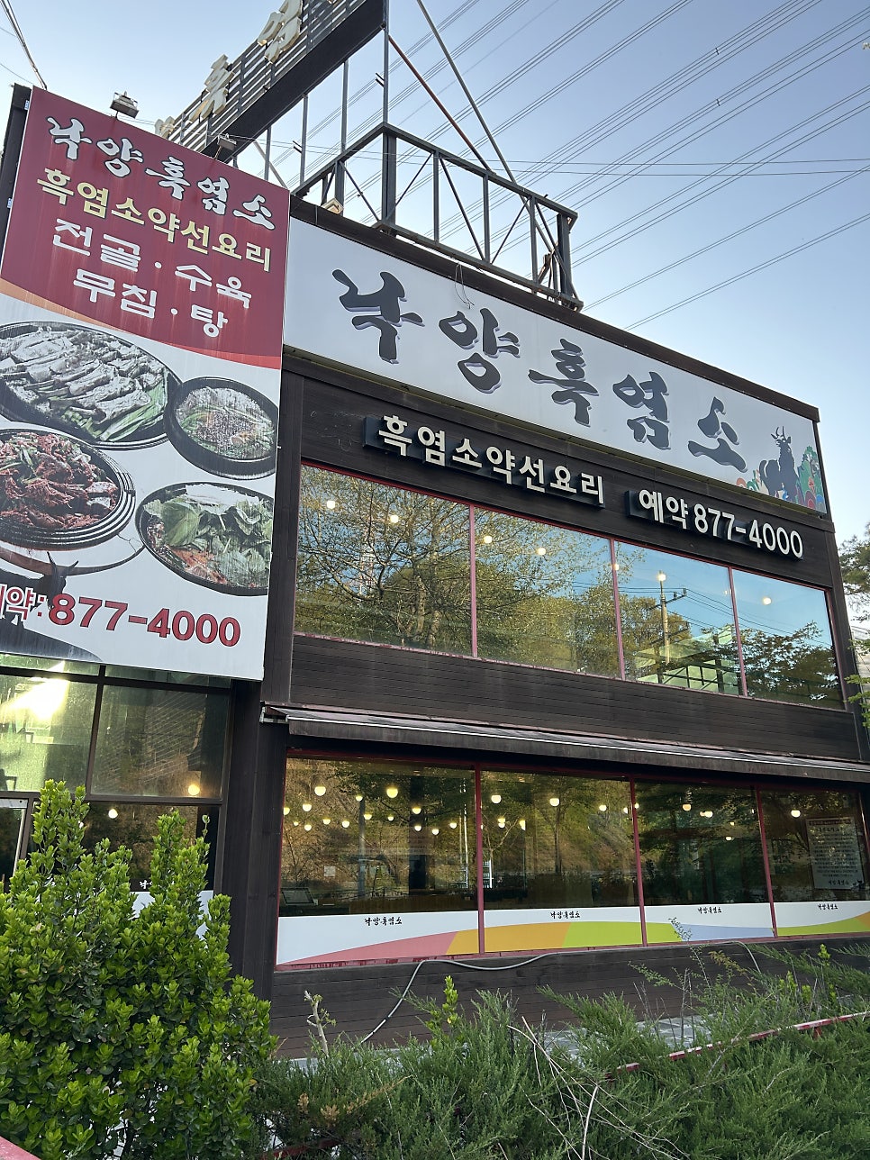 낙양흑염소 사진 4