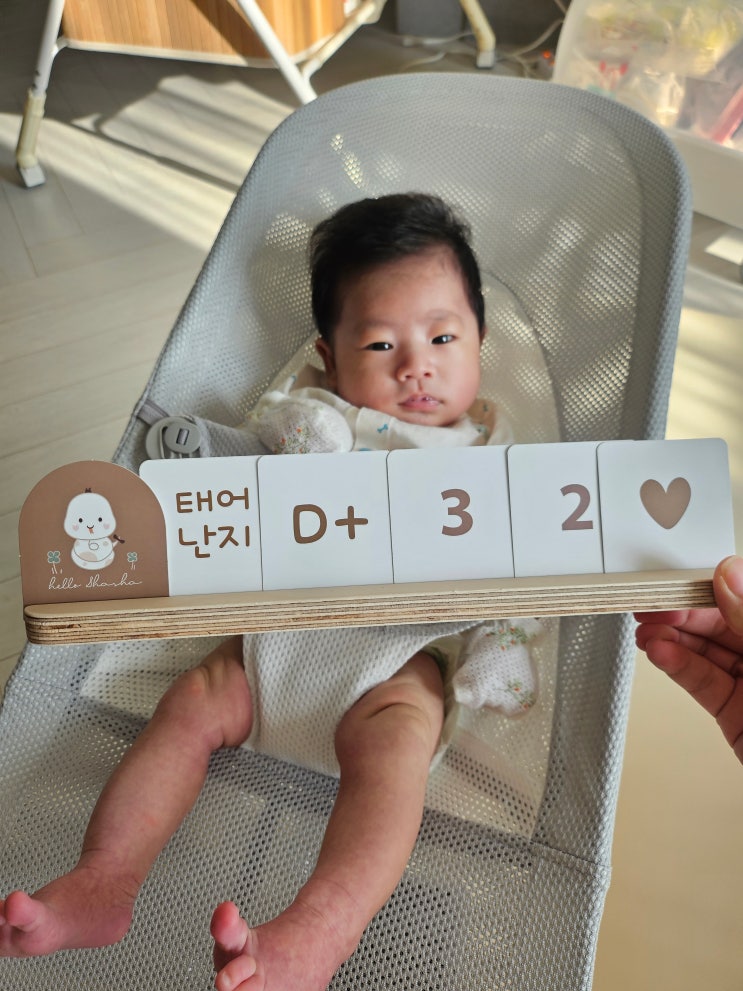  베이비뵨 바운서 사용시기 일본 직구 후 신생아부터 언제까지?