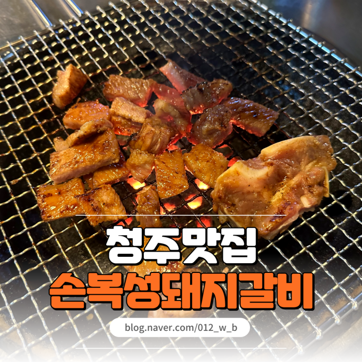  손복성돼지갈비 연탄구이로 가성비 좋은 청주대 맛집