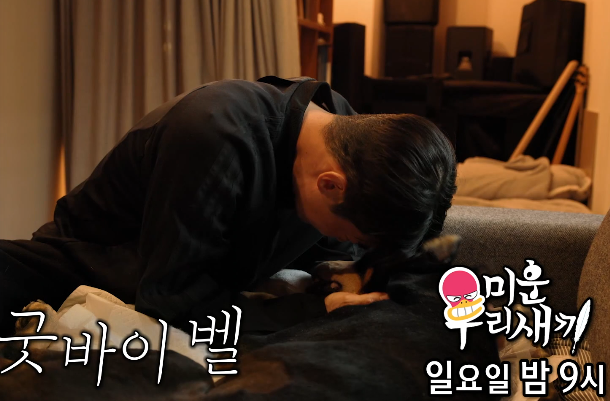 미우새 <b>배정남</b> 강아지 <b>벨</b> 도베르만 유일한가족 <b>반려견</b> 개 사망... 