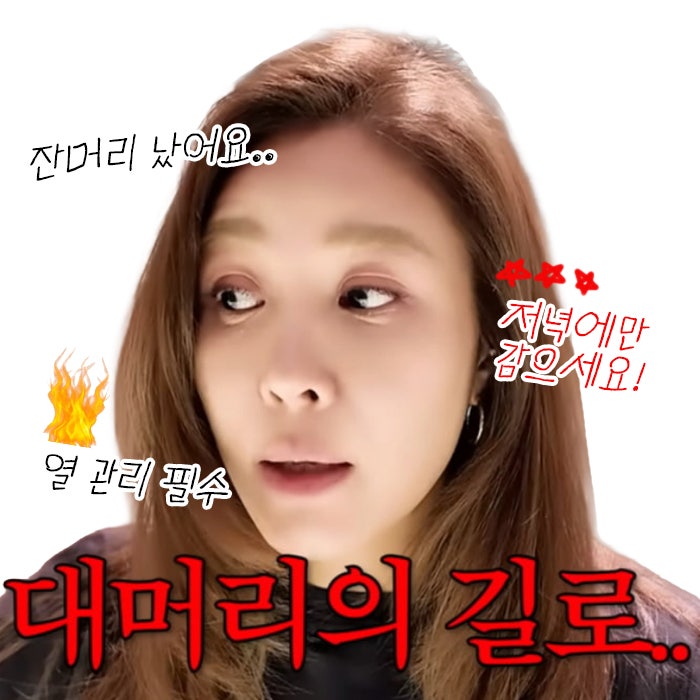 (광고 없는) 옥주현 모발이식 & 탈모 관리 방법 총정리