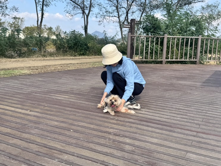  소래생태숲지공원에서 깡패콩이와 함께 가을 산책하기