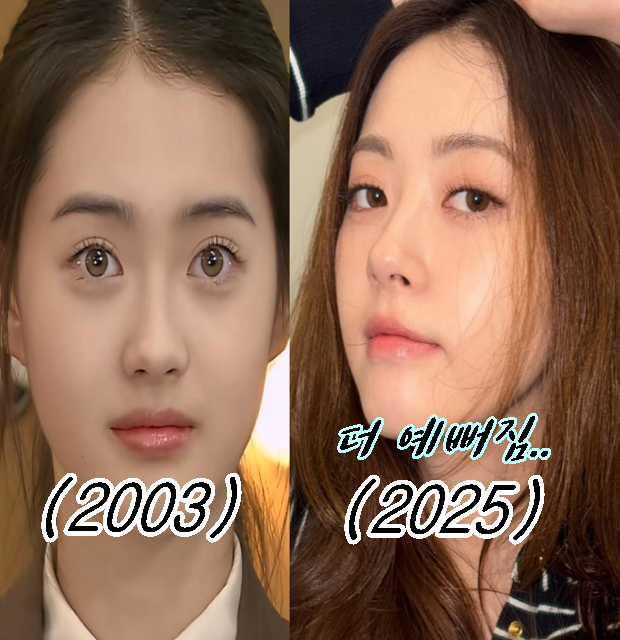 이게 바로 자연미인 클라스 고아라 리즈시절(+근황)