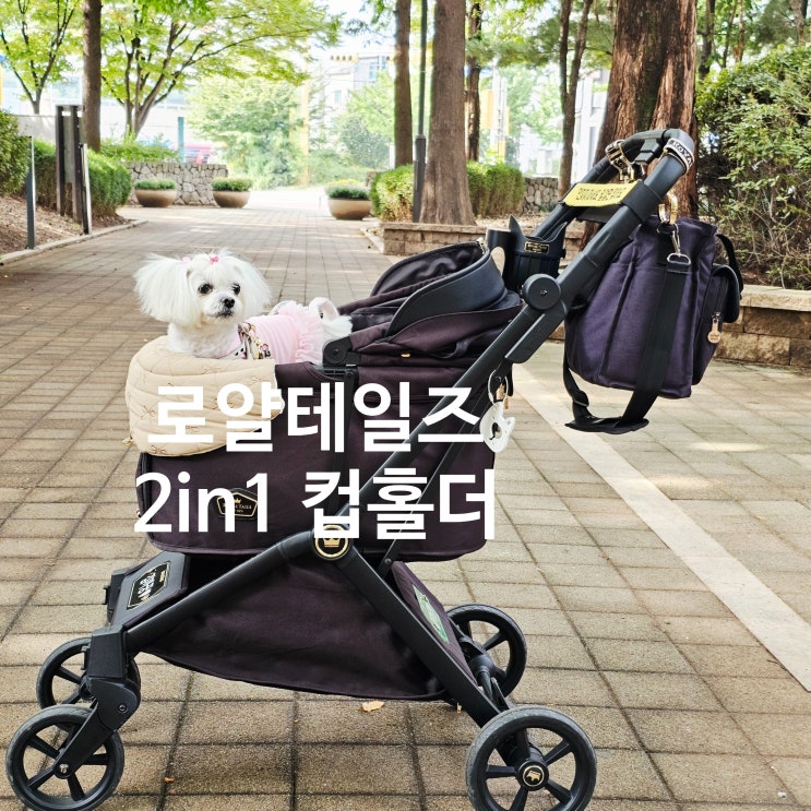  꿍이의 산책을 더 편하게 만들어주는 강아지용품, 로얄테일즈 프리미엄 2in1 컵홀더 후기