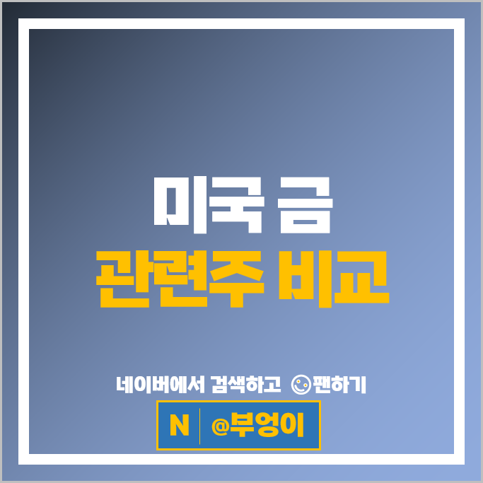 미국 상장 금관련주 금투자 방법 BTG SSRM 주식 IAG 주가