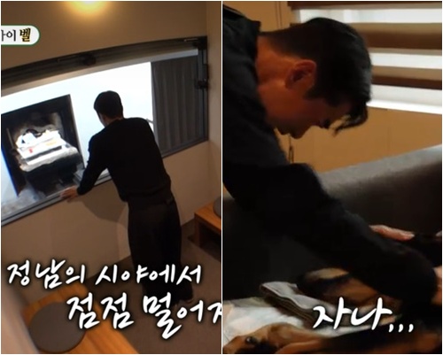 <b>배정남 반려견 벨</b>: 화장터 속... 애 뜨거워요" <b>오열</b> ('미우새')