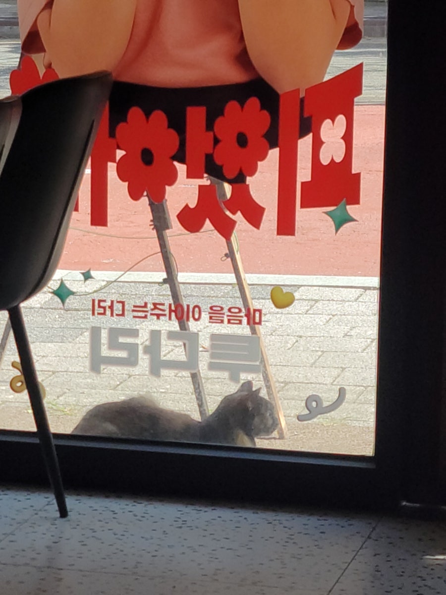 투다리 남산점 사진 2