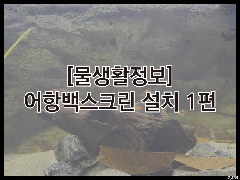 [물생활정보] 어항 백스크린 설치!