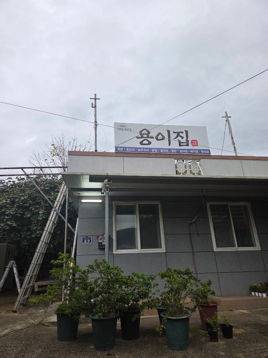 용이집 사진 1