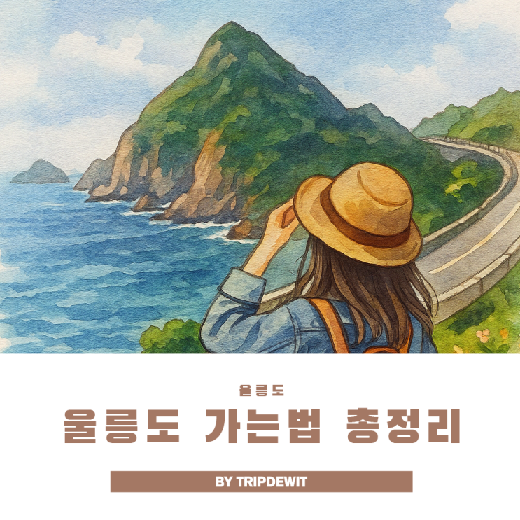  울릉도 가는법 배편 비용 소요시간까지 총정리