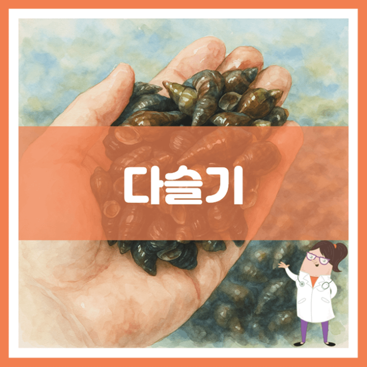  다슬기 효능 부작용 먹는 방법