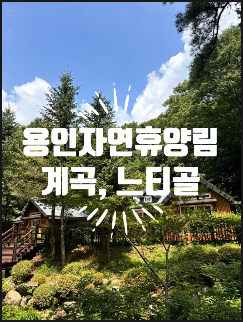 [아이랑 용인] 용인자연휴양림, 여름방학에 계곡 즐기기 (계곡 가까운 느티골 숙박 후기, 준....