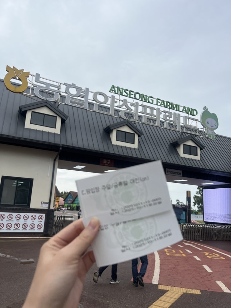  10월 가볼 만한 곳 추천 | 안성팜랜드 가을 풍경 & 현재 근황 후기