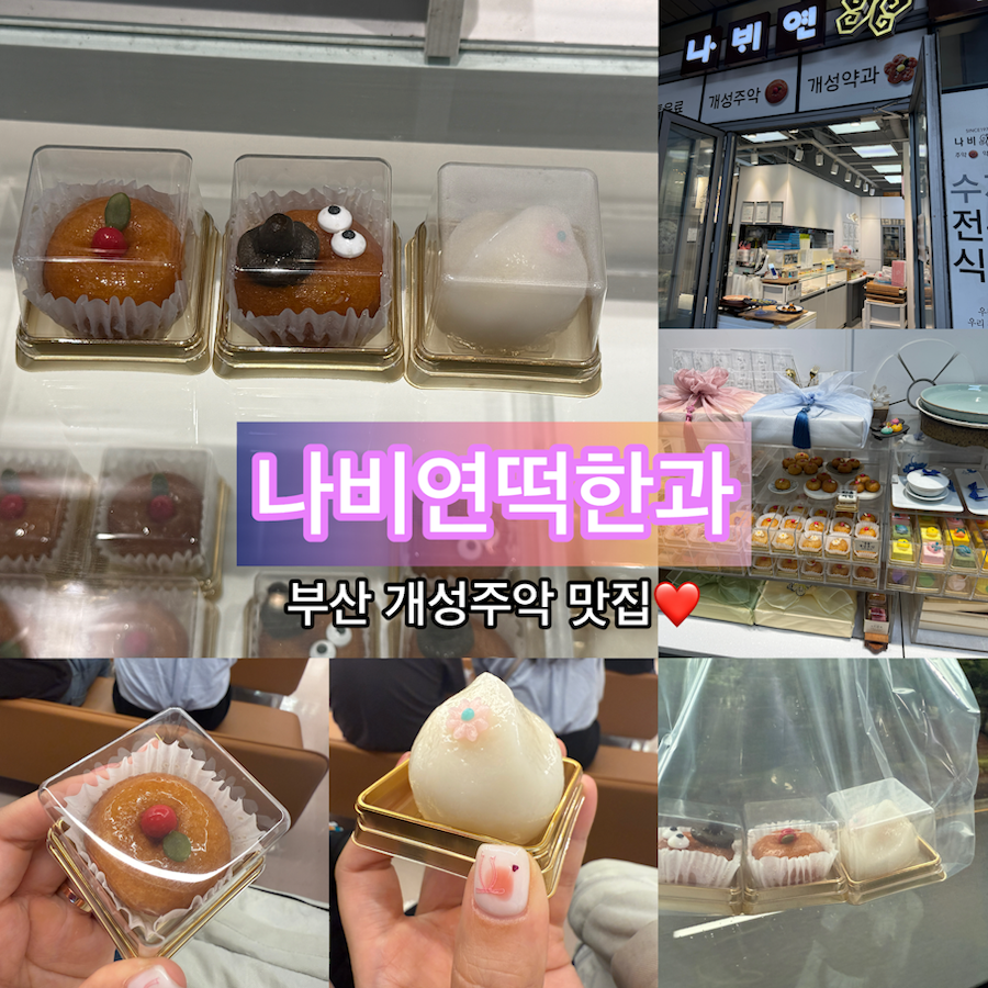 나비연 사진 1