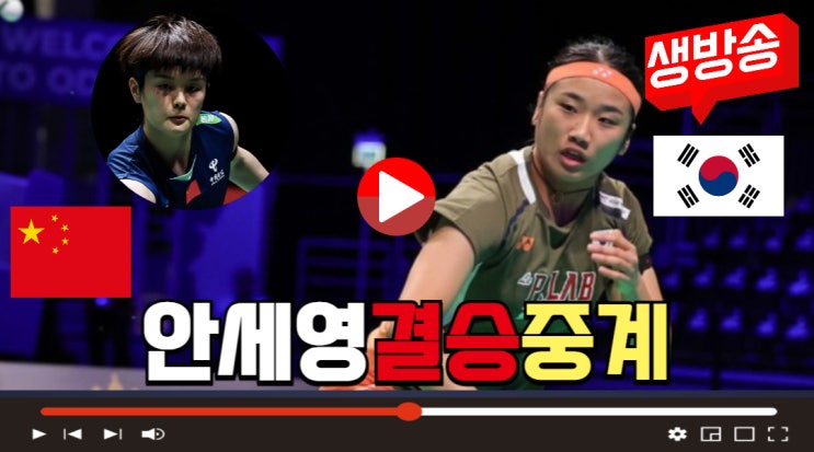 경기시간 몇시 <b>왕즈이</b> 덴마크오픈 배드민턴 <b>결승전</b> 결과 우승상금