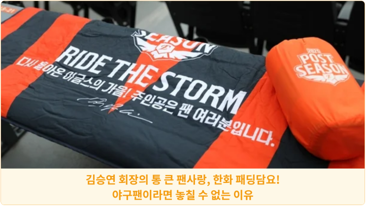  김승연 회장의 통 큰 팬사랑, 한화 패딩담요! 야구팬이라면 놓칠 수 없는 이유
