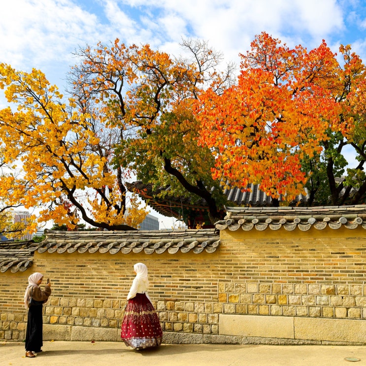  2025 서울 가을 단풍 명소 시기 경복궁 창덕궁 창경궁