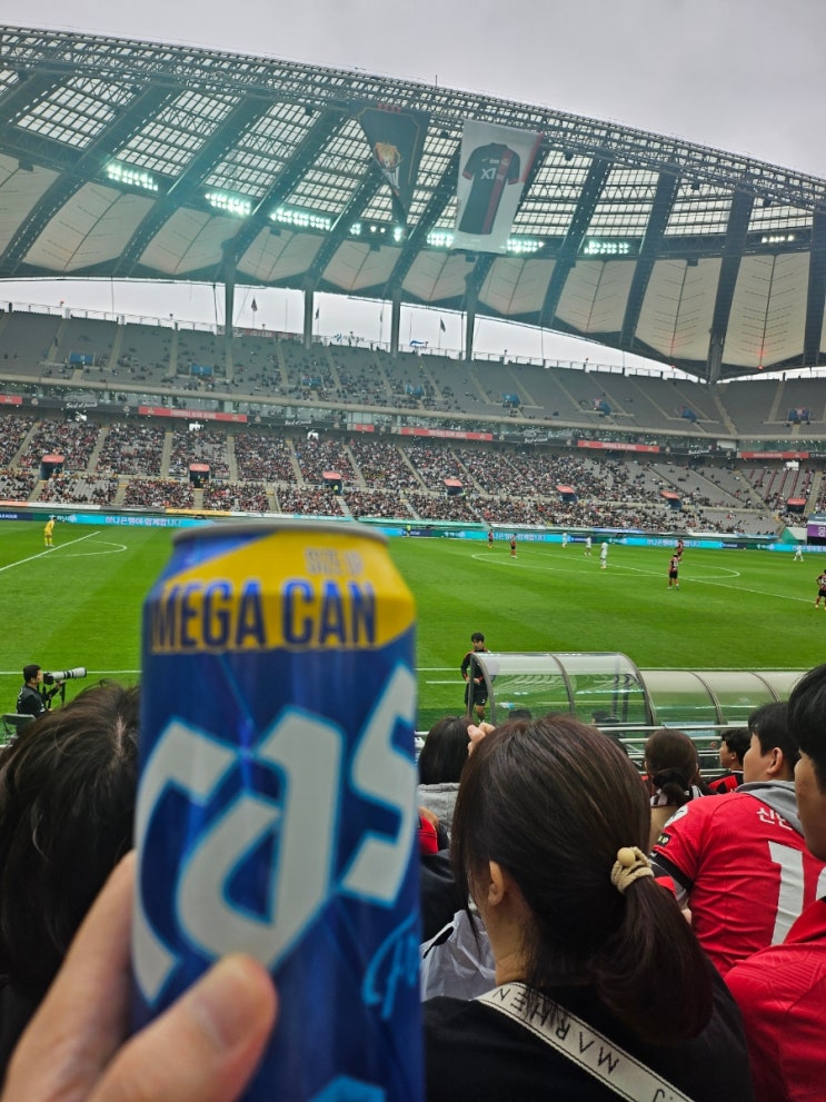 서울 상암월드컵경기장 k리그 FC서울 대 포항