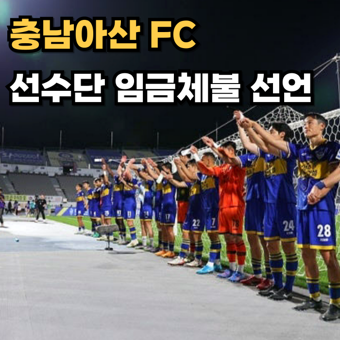  충남아산FC 임금 체불 사태로 흔들린 시민구단의 현실(손준호, 징계 가능성)