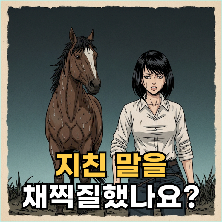  말 꿈 해몽 핵심, 백마, 흑마보다 중요한 '말의 상태'로 보는 나의 에너지 레벨