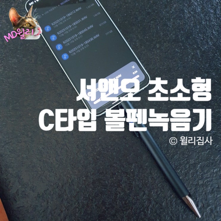  초소형 볼펜 녹음기 서앤오 특허 자체제작 C타입 간편하게 사용하기