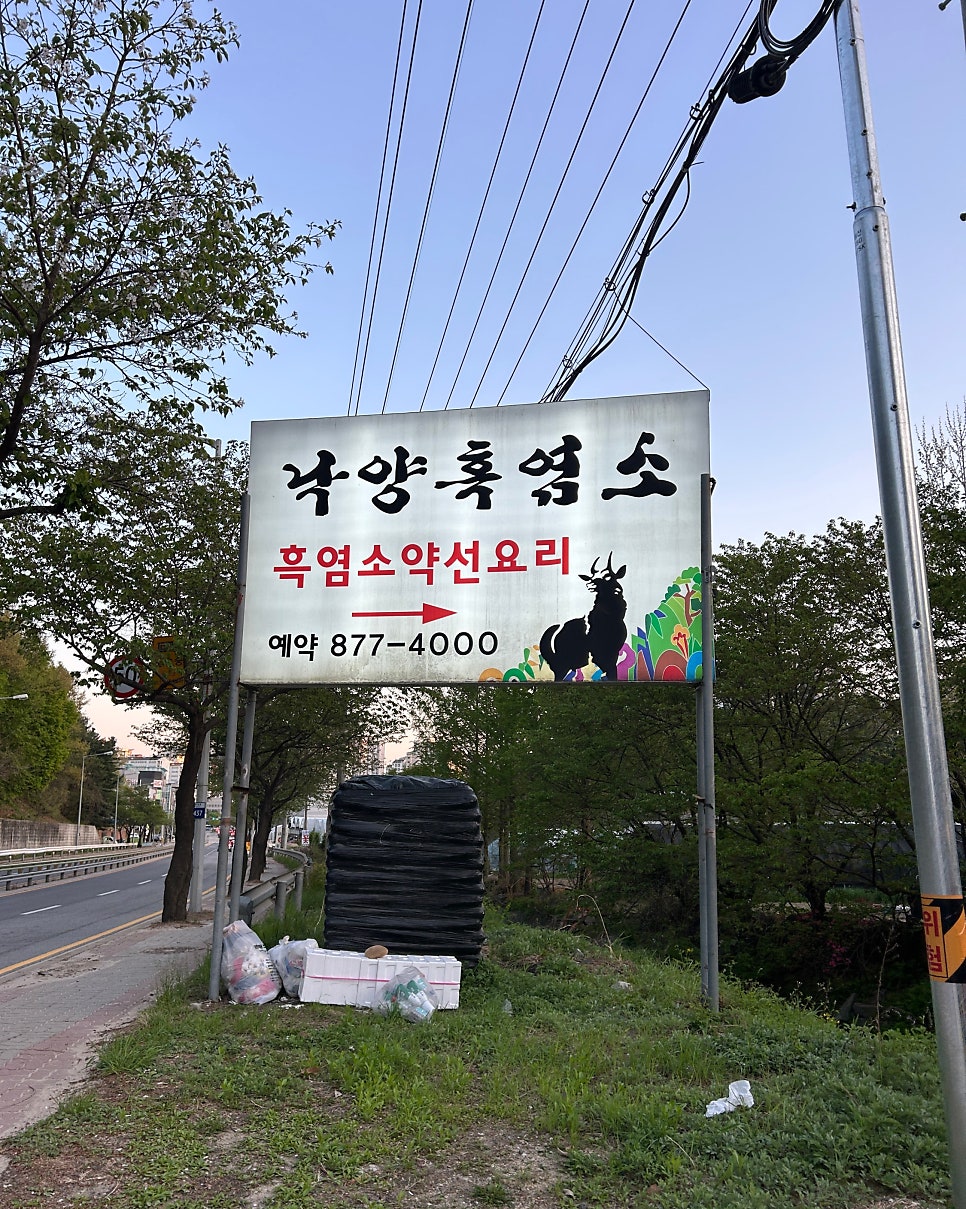 낙양흑염소 사진 1