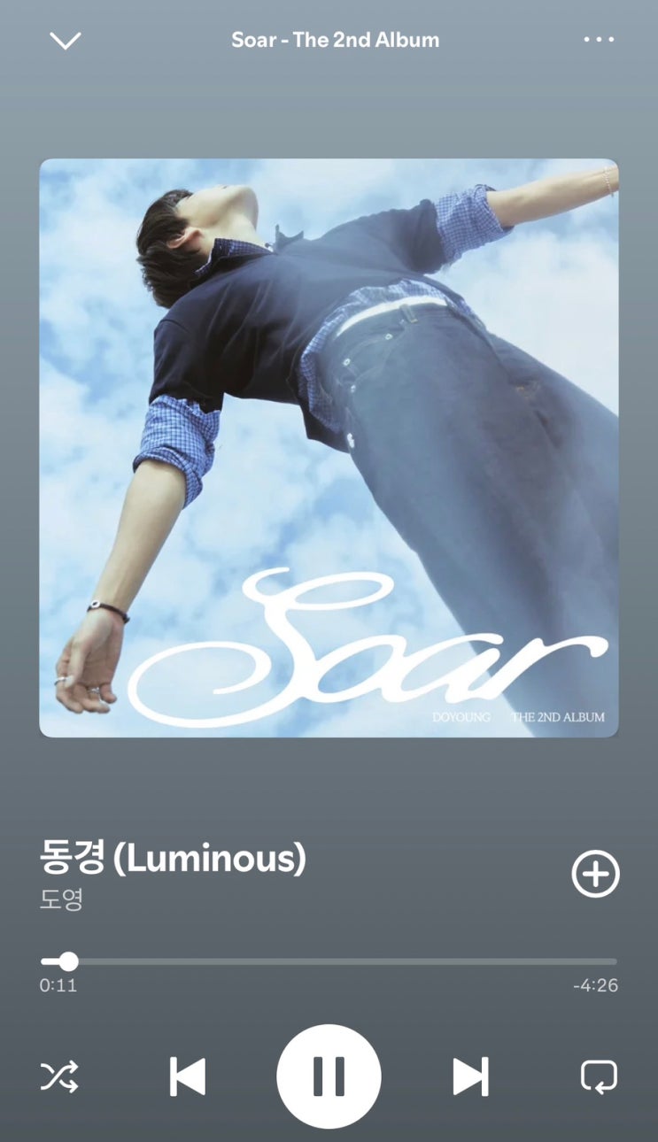  NCT 도영 - 동경 을 듣고 감동한 어느 머글의 솔직한 이야기 / Soar 앨범 수록곡 남돌 노래 추천