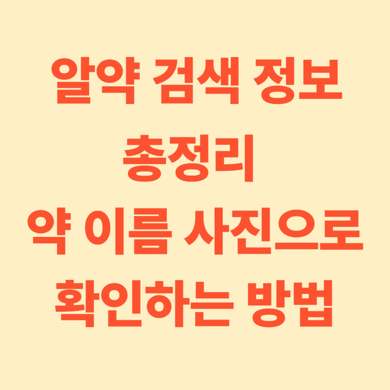 알약 검색 정보 총정리 — 약 이름·효능·사진으로 확인하는 방법