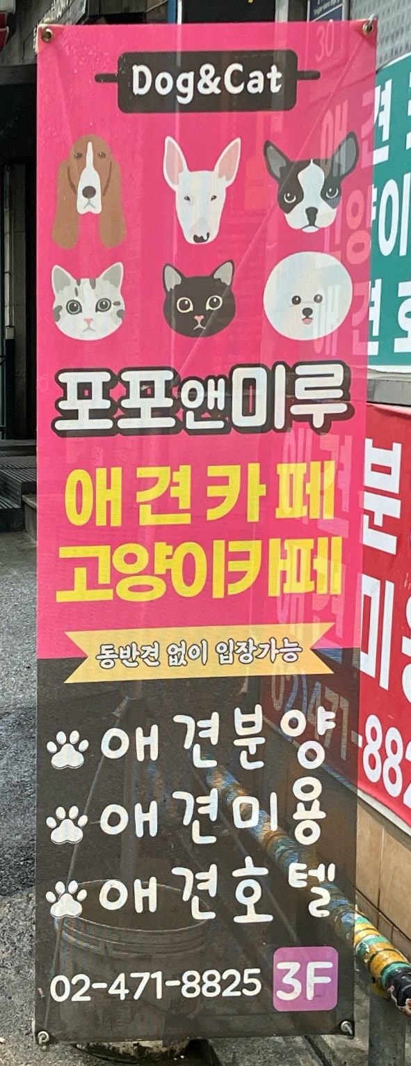 사진 6