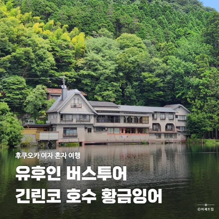  후쿠오카 버스투어 여자 혼자 여행 유후인 긴린코호수 황금잉어