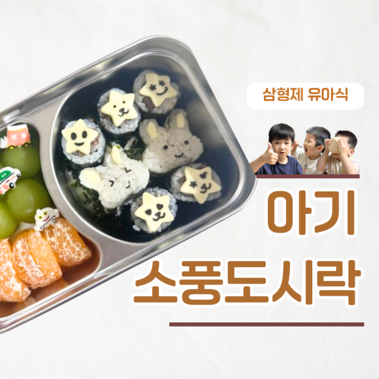  한입크기로 실패없는 소풍도시락 만들기