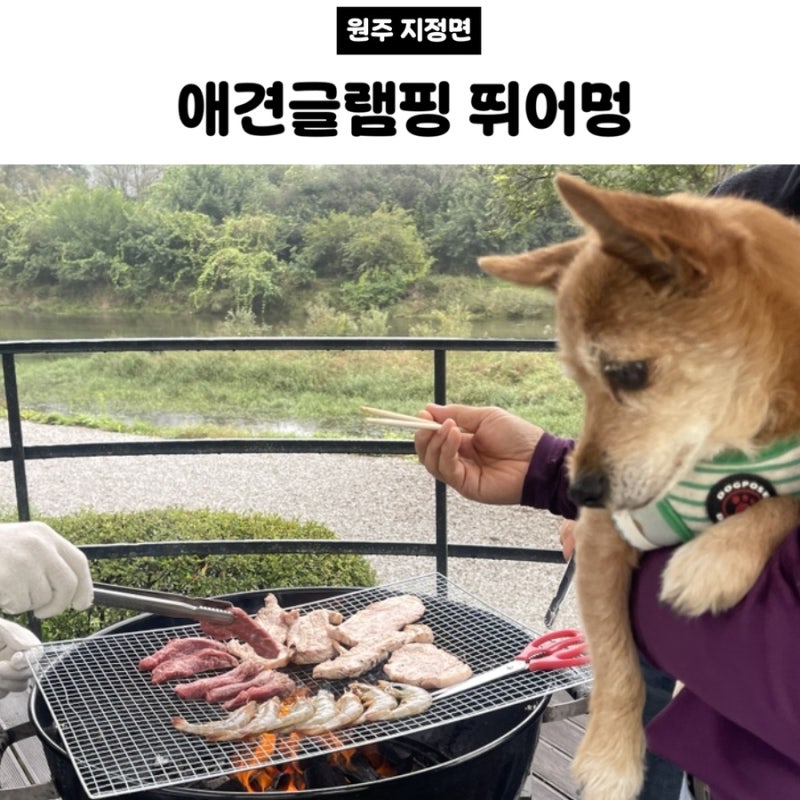 사진 4