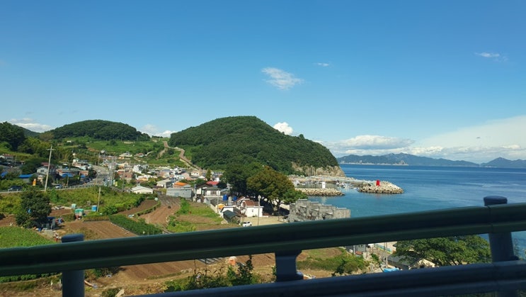  릴스와 틱톡의 차이점 무엇이 다를까