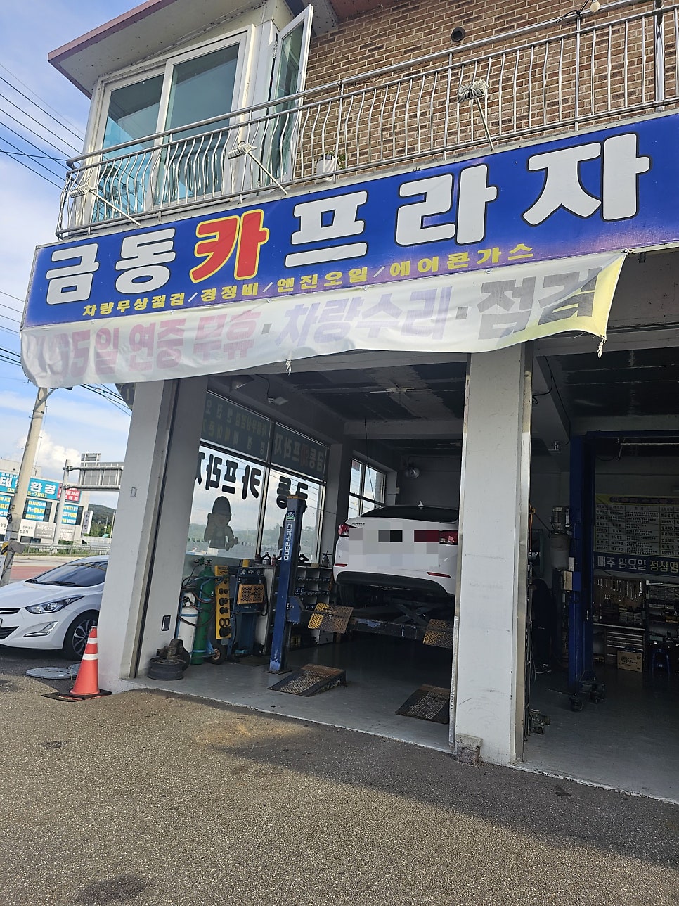 금동카프라자 사진 1