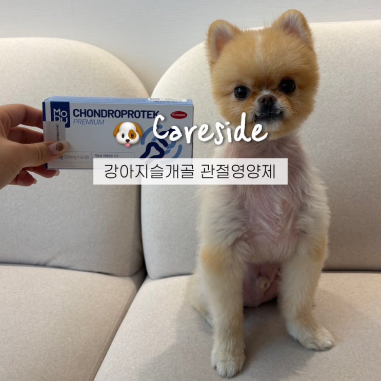  강아지 슬개골 관리의 첫 걸음! 케어사이드 관절 영양제 추천