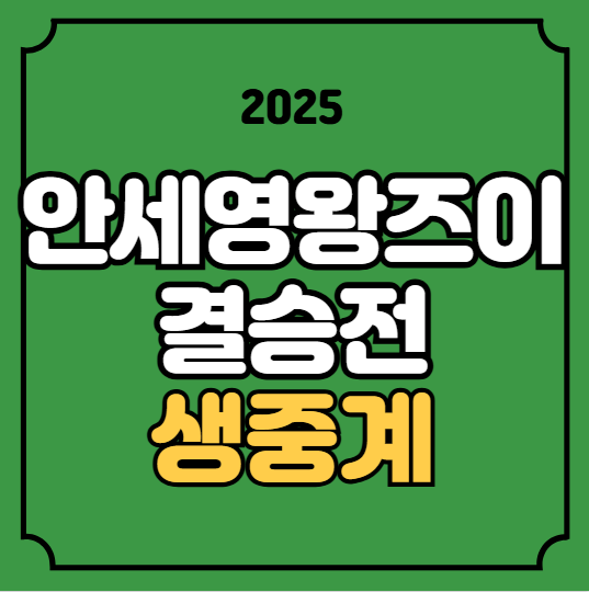 덴마크오픈 결승 중계 2025년 10월 19일 <b>안세영 왕즈이 결승전</b>... 