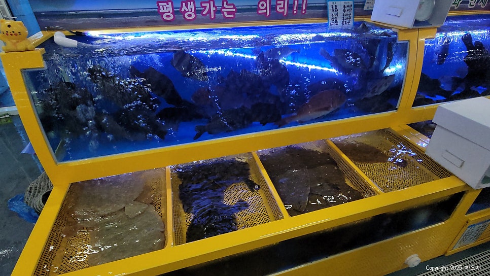공주네 사진 6