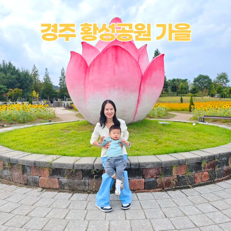  경주 황성공원 가을 황하코스모스 백일홍 해바라기 위치