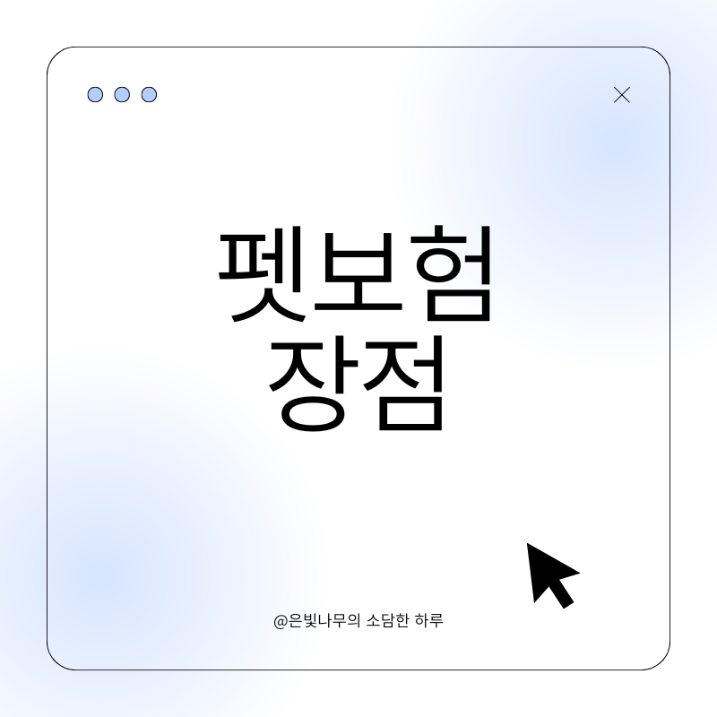 팻보험 장점 총정리 펫보험 가입, 왜 필요할까요?