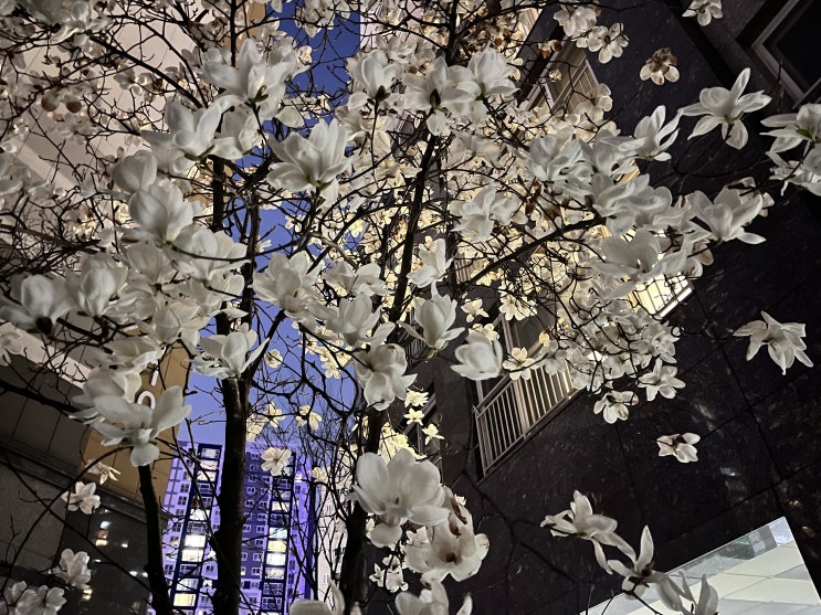  4월 photodump / 노들섬, 만찢남, 사다리..