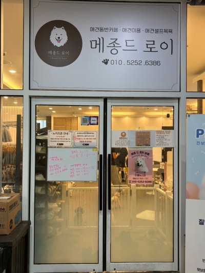 사진 3