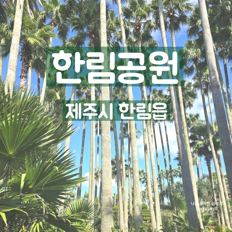 사진 4