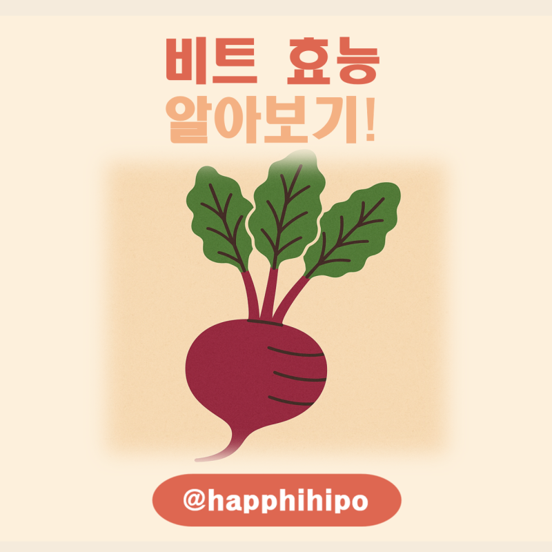 비트 효능 알아보기! 비트 효능과 부작용, 혈압, 간, 성분, 섭취량, 레드비트 총정리