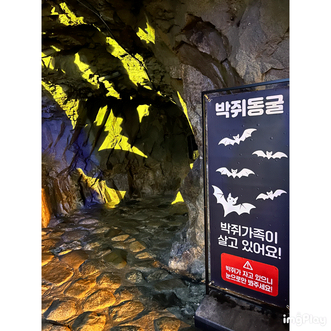  울산근교 아이와 가볼만한 곳 7세 아이가 신나게 즐긴 울산 자수정동굴나라 가이드