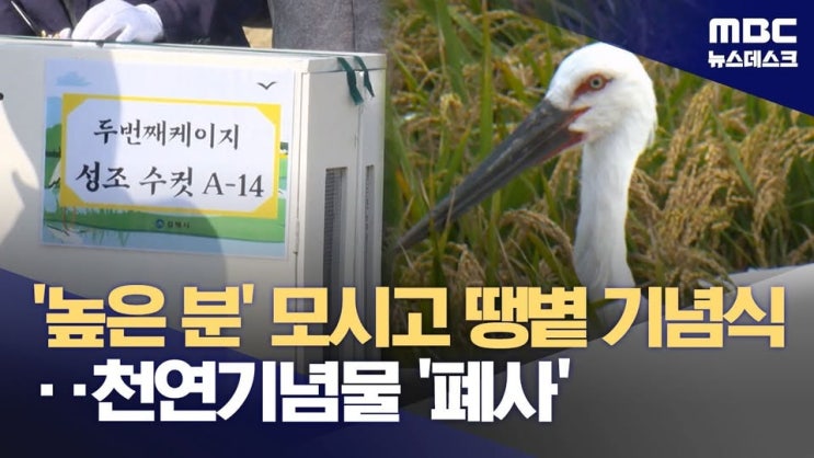  주객전도! '의전공화국' 축사 기다리다 천연기념물 '황새 폐사'